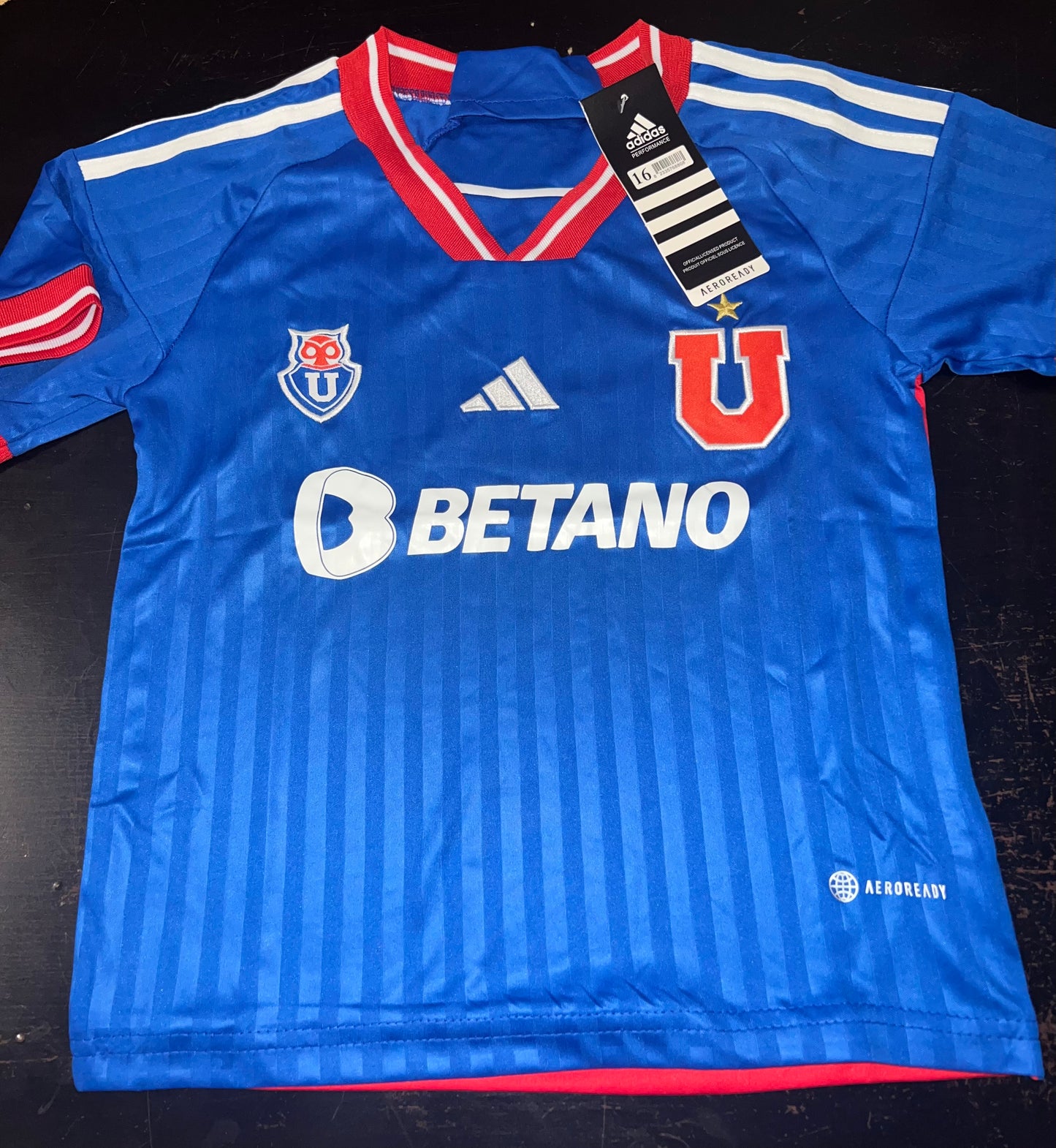 conjunto universidad de Chile para niños