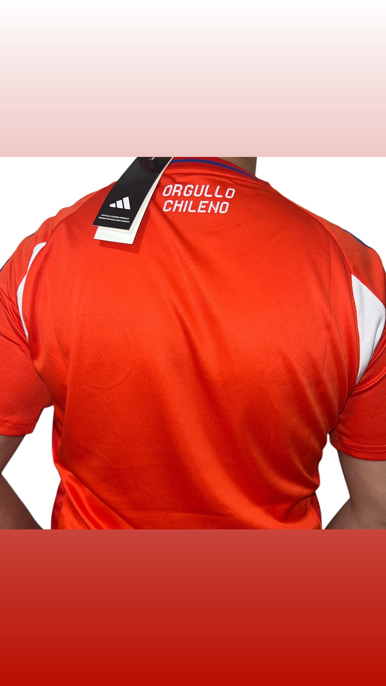 Camiseta selección Chilena 2024